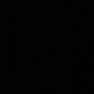 Meet your Posher, Shelby